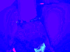 Bleu room anal solo finger fuck!