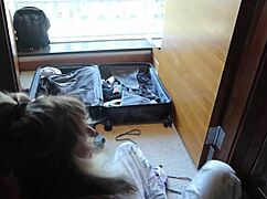 jazmine jynx shares her labiaplasty journey bts