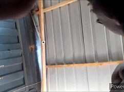 Finger fucking her in hot pink shorts