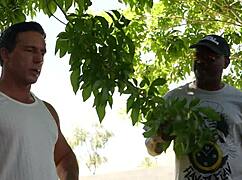 Sex for payment with Tiffany Nacke in wild double vaginal pool action!