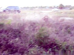 She wouldn't stop talking, so I pulled over to make her suck my cock 😏