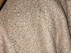 Masturbating With Anal Dildo!