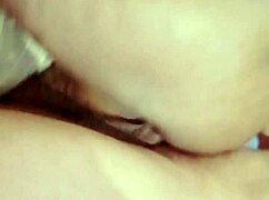 Sundaydogood614 update 870 - vid 20250322 134221.