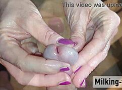 At milking time, everyone gathers to see the mistress handle a big cock.