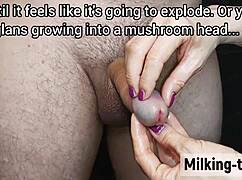 At milking time, everyone gathers to see the mistress handle a big cock.