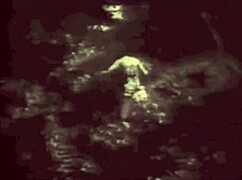 vintage taboo hairy pussy gets slammed doggystyle in retro bent over scene