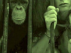 vintage taboo hairy pussy gets slammed doggystyle in retro bent over scene