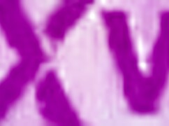 sofia smith takes two big cocks, her ass stretched wide open.