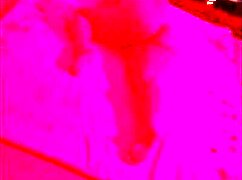 licking chubby brunette's ass