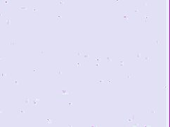 i have a lesbian threesome in leather outfits at the office