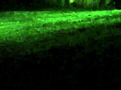 horny veronica leal tries double penetration with hot friend in anal fucking