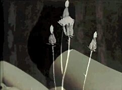 Dark lantern entertainment presents steam age porn