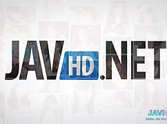 japanese group sex in hd vol 46, soo wild man