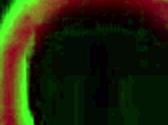 Rome Major Dominates Jenna Justine with Relentless Hard Fucking Power