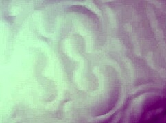 मेरी वाइफ एक्स के साथ फ्लैश करती है और हसबैंड के साथ