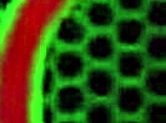 She spreads her pussy lips natalia starrs pussy show