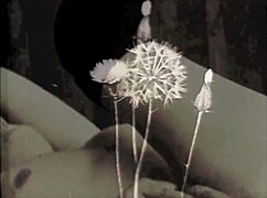 Dark Lantern Entertainment Presents Vintage Threesome From My Secret Life