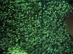 Dedicated time for solo masturbation practice