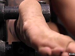 Man, this busty blonde inked babe looks wild tied up in device bondage