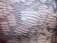 pussy lips gently holding dick inside her tight hole