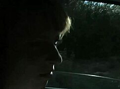 Ferkelz Online: Outdoor Auto Action With Blowjobs And Fingering