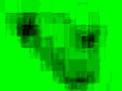 i passionately wet my leggings while enjoying a golden shower, feeling the warmth on my tits.