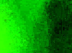 My jerk for this morning