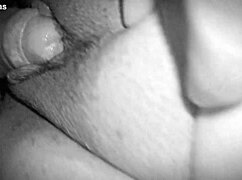 डोमिनिकन