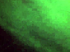 Shemale Gives Intense Blowjob And Swallows Cum Like A Pro!