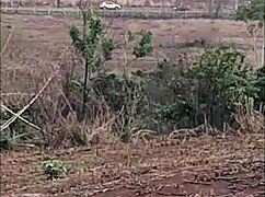 feeling intense pleasure during anal sex in the field