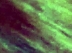 Shemale Gives Intense Blowjob And Swallows Cum Like A Pro!