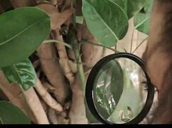 Petitehoe - busty and petite teen gets rough fuck with deepthroat