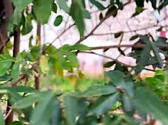 Fodendo Gostoso Nas Ruas Da Paulista Minha Buceta Toda Esfolada