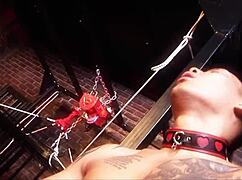 Bdsm Milf Fetish Fucking With Cougar Lesbian