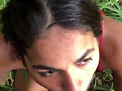 I Called Him to Enter the Land with Me and We Explored in the Bush