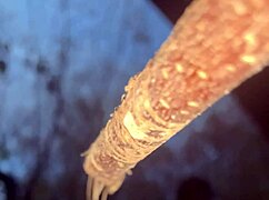 Having sex with a real witch in the woods.