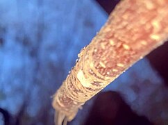 Having sex with a real witch in the woods.