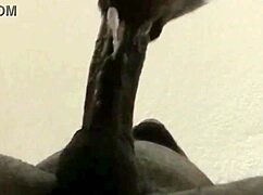 He Cums While I Suck His Big Load