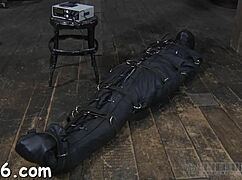 Upside Down Hottie Gets Her Nipps Clipped During Hardcore Sex