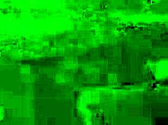 Little Daisys Lesbian Lessons with Kissing and Licking 😘