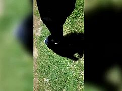 reuniting with lost ex after big party