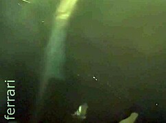 Uber Hotwife Accepts Payment in Xerecard Form