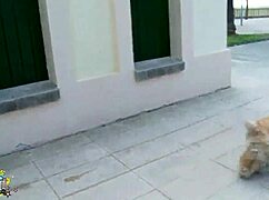 Small tits teen girl fucked hard by two guys