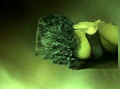 A seductive BBW engages in passionate dick sucking, her lips wrapped around the cock