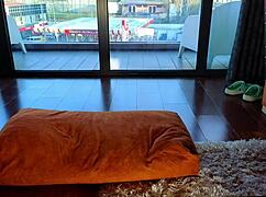 Whole body in lube taking huge dildo into pussy