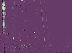 You are a loser with a small penis.