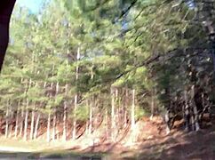 clitlicker662 update 35 img 1372