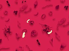 heißer teen 18+ striptease camgirl nina undressing in jeans