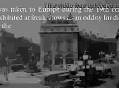 The Fascinating History Of Saartjie Baartman's Big Black Ass