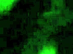 sucette sucking on a big black monster cock in intense oral action